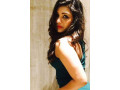 qualified-and-sizzling-hot-escorts-in-rajasthan-small-0