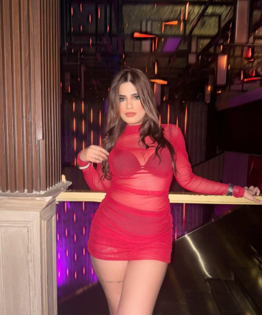 premium-call-ils-in-sector-49-noida-8448380779-independent-call-girls-noida-big-0