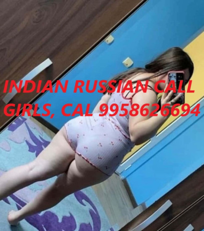 eal-call-is-in-bali-nagar-delhi-all-100-9958626694-big-0
