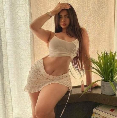call-girls-service-sector-12-vasundhara-9990411176-escorts-at-delhi-ncr-big-0