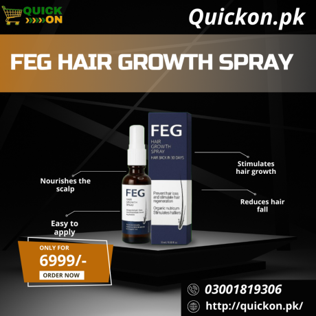 best-feg-hair-spray-price-pakistan-03001819306-big-0